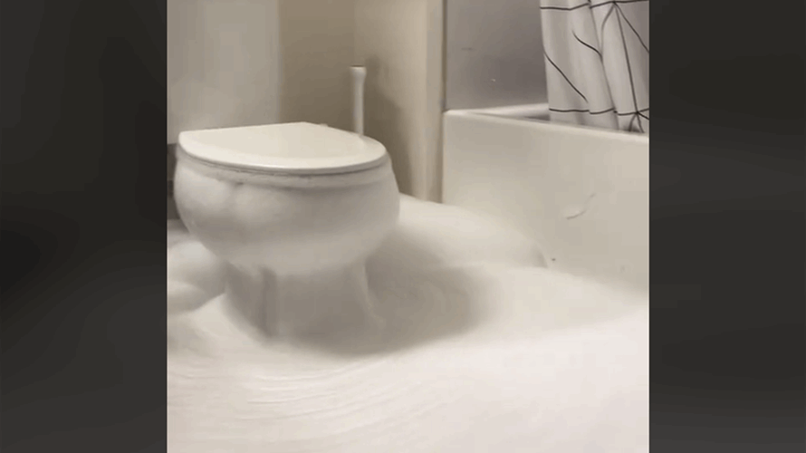 "جبل من الرغوة"  أغرق مرحاضها... مادة غريبة خرجت من كرسي الحمام وتسببت بالكارثة! (فيديو)