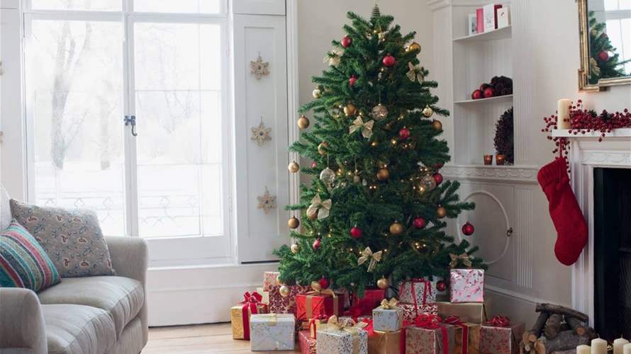 استيقظ الوالدان على صوتٍ غريب... مفاجأة غير متوقعة تحت شجرة الميلاد في المنزل! (صورة)