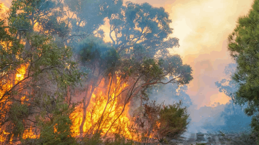 خروج حريق عن السيطرة في استراليا وسط تحذير من موجة حارة