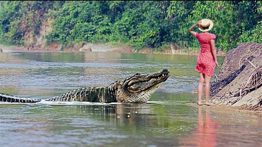 سحبها التمساح إلى الماء أمام أشقائها... وما حصل بعدها مرعب!
