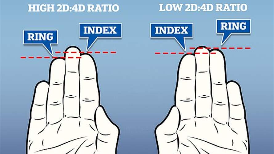 دراسة جديدة عن طول الأصابع… وهذه النتائج ستذهلكم!
