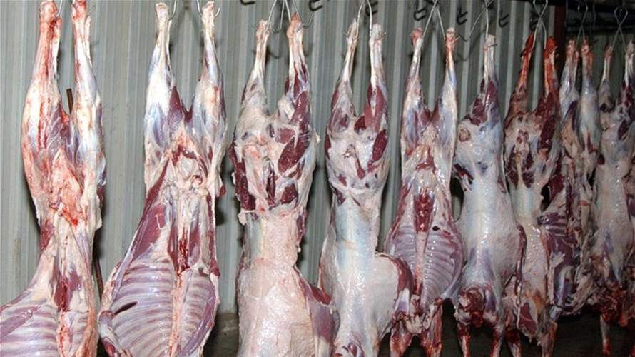 عيد يحذر من توسع إدخال اللحم الهندي الى السوق اللبنانية