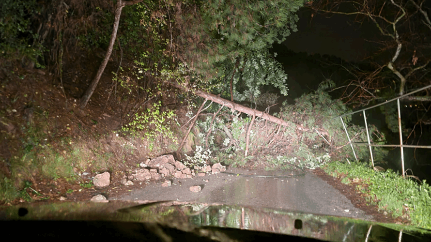 الوكالة الوطنية للإعلام: إنهيار أتربة وصخور وشجرة صنوبر معمرة على طريق عام يحشوش بسبب غزارة الأمطار