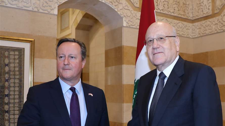 Strategic dialogue: Mikati and Cameron discuss military support and diplomatic solutions