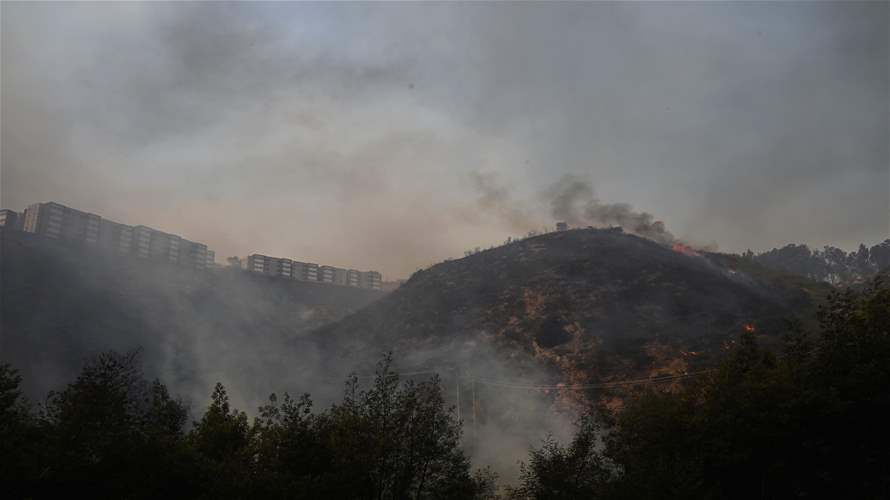 رئيس تشيلي: عدد قتلى حرائق الغابات يقفز إلى 64 ومرشح للارتفاع