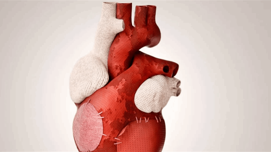 هل يساعد "هرمون الحب" في إصلاح أنسجة القلب التالفة؟... دراسة جديدة بنتائج صادمة ورومانسية!