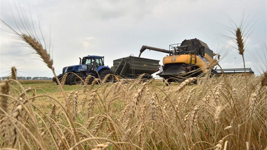 وارسو واوتاوا تبحثان تصدير الحبوب الأوكرانية إلى الدول المحتاجة