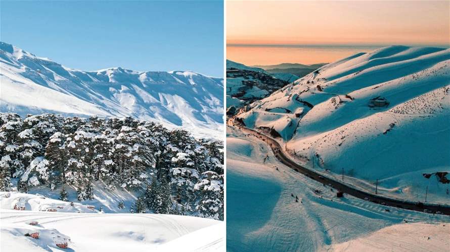 Winter escapade: Here are mesmerizing pictures of Lebanon's charming snow-covered landscapes from cedars to slopes