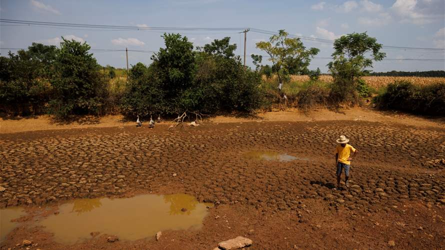 "كارثة وطنية" يتسبب بها الجفاف في زامبيا