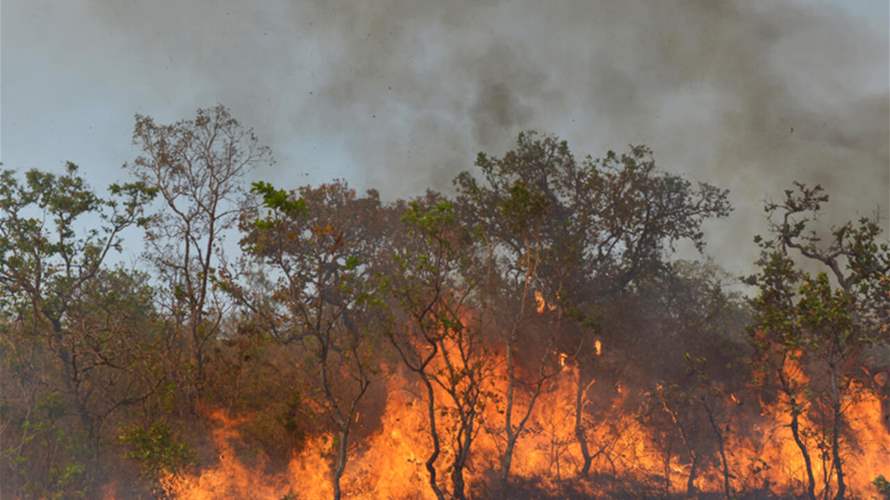 الحرائق تهدد بوقوع كارثة في غابات الأمازون