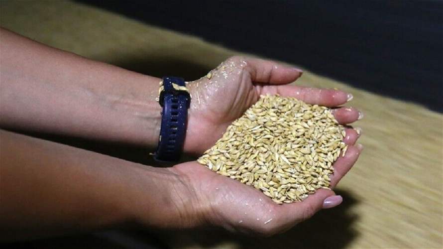 مجلس القضاء الاعلى ينقل توضيحات كركبي بشأن إدخال كمية من القمح الى الأسواق اللبنانية