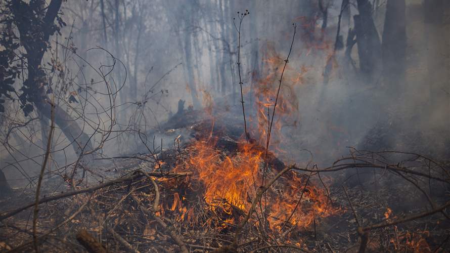 موجة حرائق بغابات المكسيك تودي بحياة 4 أشخاص