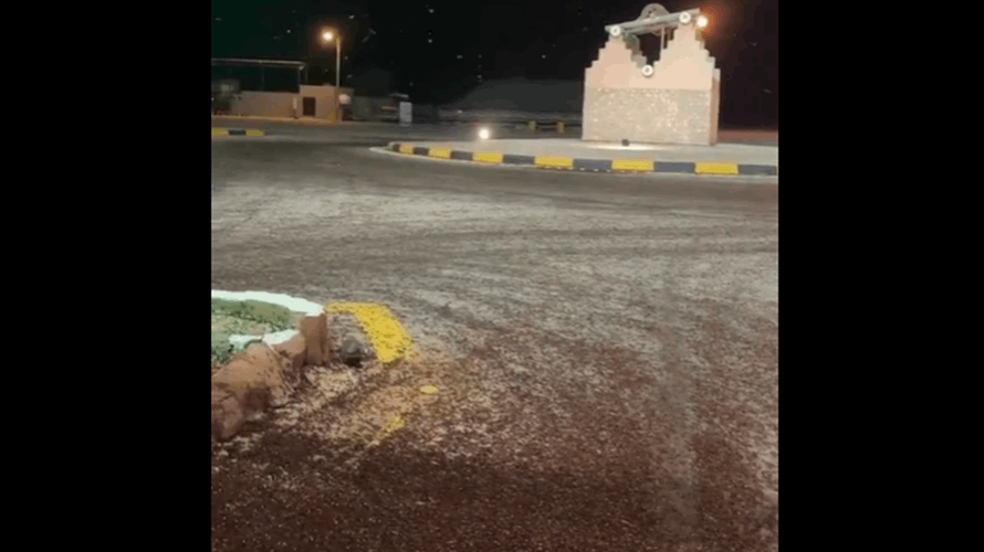 بعد غزو الخنافس المرعب في احدى المناطق السعودية... خبير يكشف السبب خلف وصولها: هل هي خطيرة؟ (فيديو)