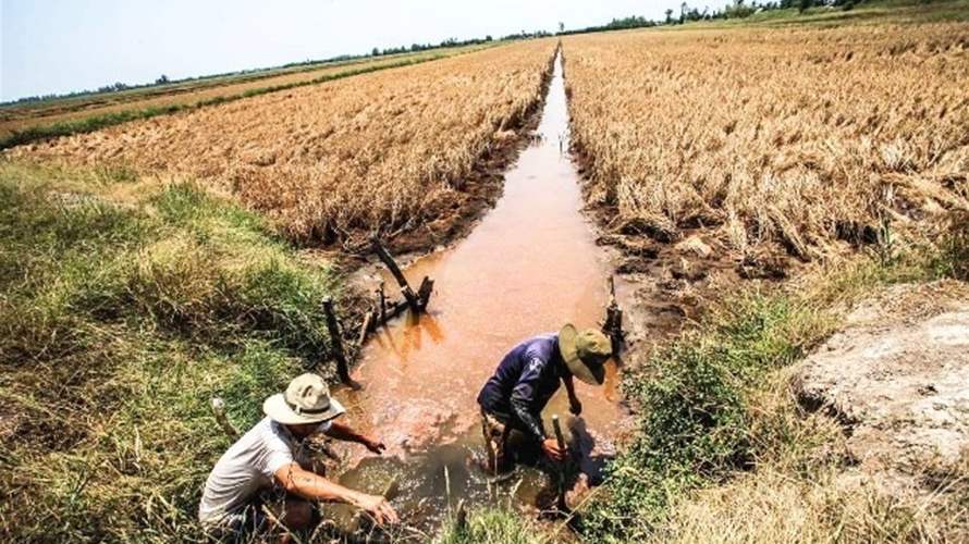 نقص المياه والجفاف يتفاقمان في منطقة دلتا ميكونغ في فيتنام