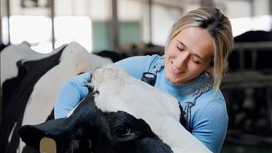 معانقة البقر قد تكون علاجًا مفيدا للتوتر والقلق لدى النساء