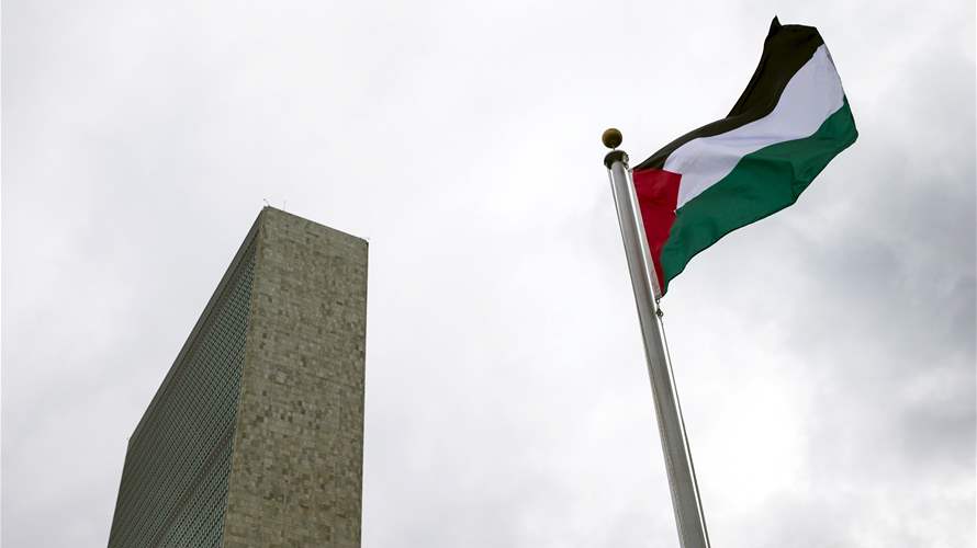 UN experts urge all countries to recognize Palestinian statehood