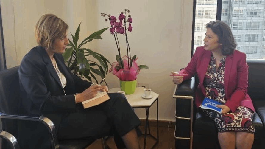 Lebanon's Environment Minister discusses ministry's digital transformation initiative with UNDP official