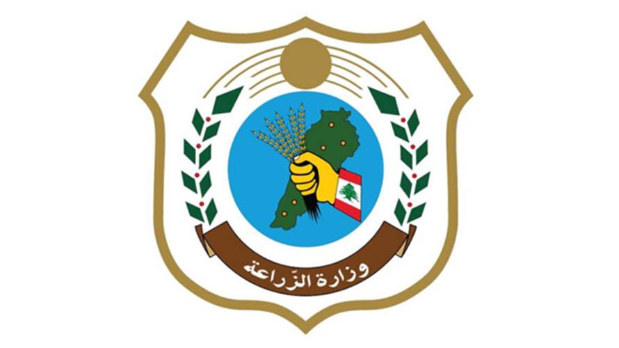 وزارة الزراعة: مفرزة البحث في الجمارك تصادر أكثر من 17 طنًا من الفواكه المهربة وتسلمها للجيش
