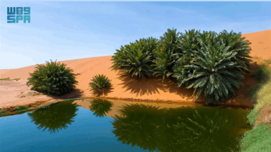 انضمام موقعي "شمال الرياض جيوبارك" و"سلمى جيوبارك" إلى شبكة الجيوبارك العالمية