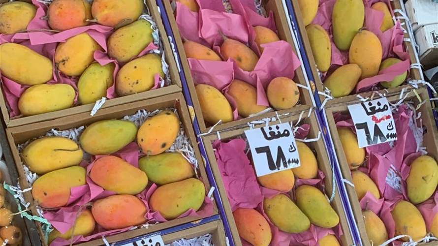 ضبط 12 طناً من المانغا المهرّبة من اليمن إلى لبنان