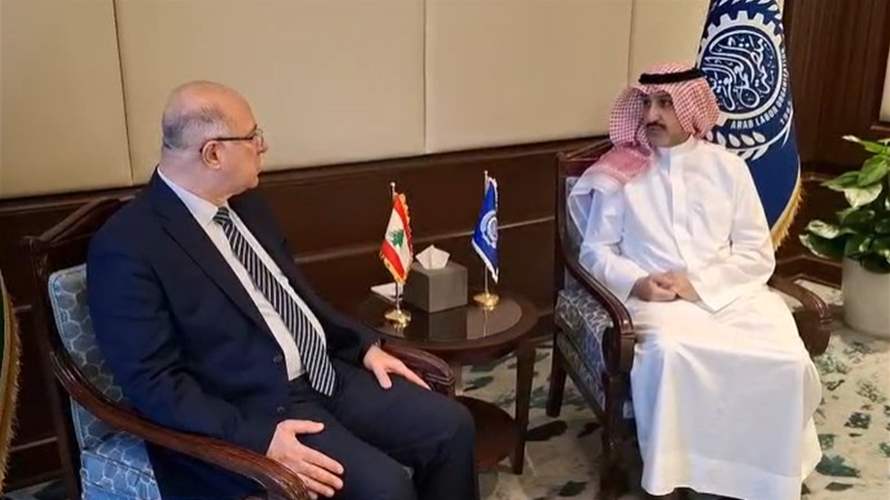 وزير العمل يضع منظمة العمل العربية في صورة الأوضاع بعد العدوان الإسرائيلي