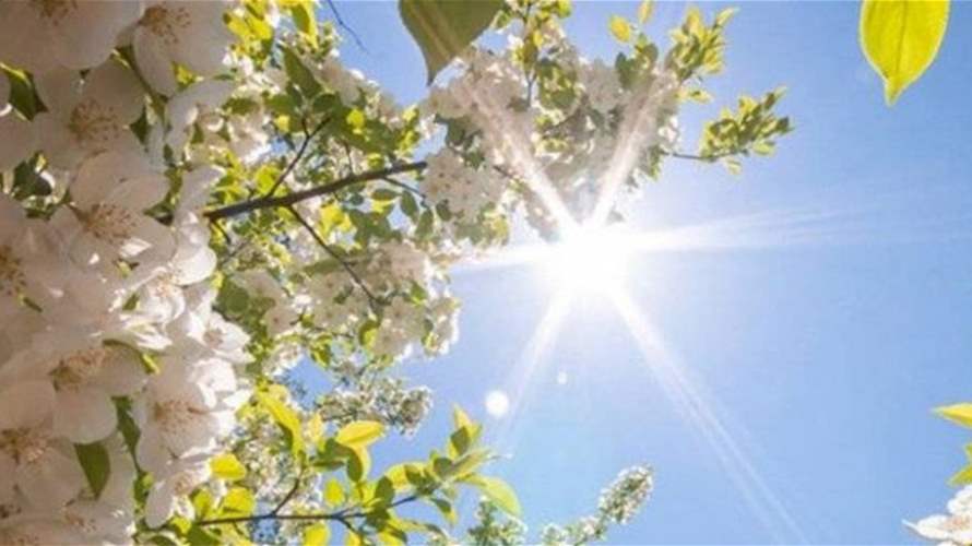 طقس ربيعيّ دافئ ومستقر