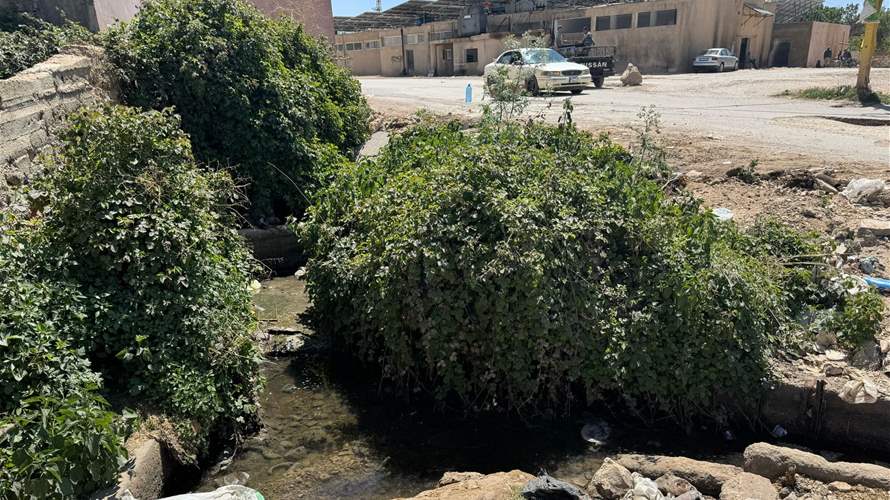 وزارة الزراعة تنهي ملف تلوّث مياه الري الزراعية في بعلبك: المعالجة اكتملت والتزام بالشروط البيئية