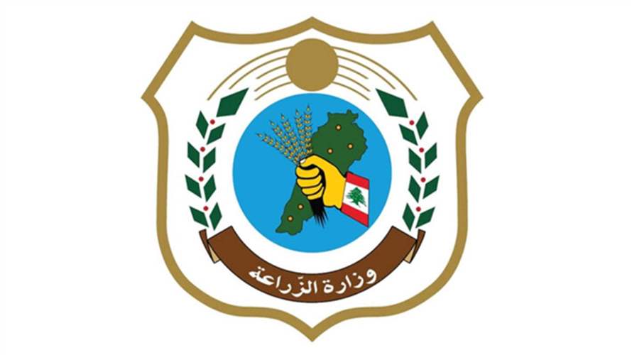 وزارة الزراعة تتحرك سريعًا لمتابعة قضية بيع أسماك نافقة في الأسواق