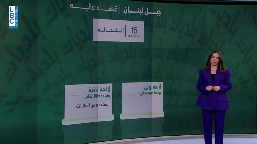 مشهد الإنتخابات البلدية في قضاء عاليه