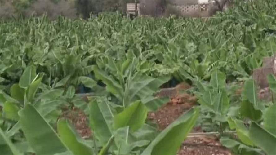 إتفاقيات جديدة يوقع عليها لبنان لصالح المزارعين اللبنانيين...