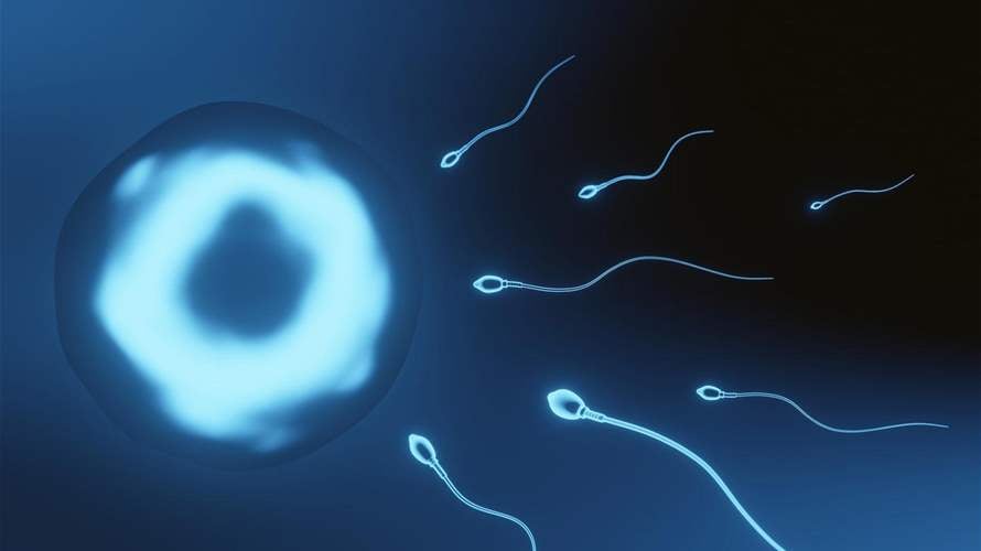 مادة غذائية مستخدمة بكثرة قد تسبب العقم لدى الرجال... إليكم ما كشفته أحدث الدراسات