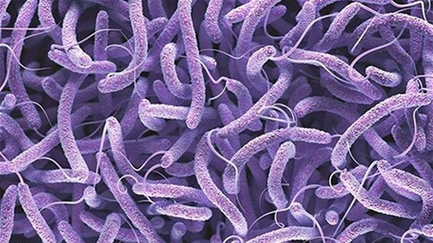 70 حالة وفاة جراء الكوليرا في الخرطوم خلال يومين