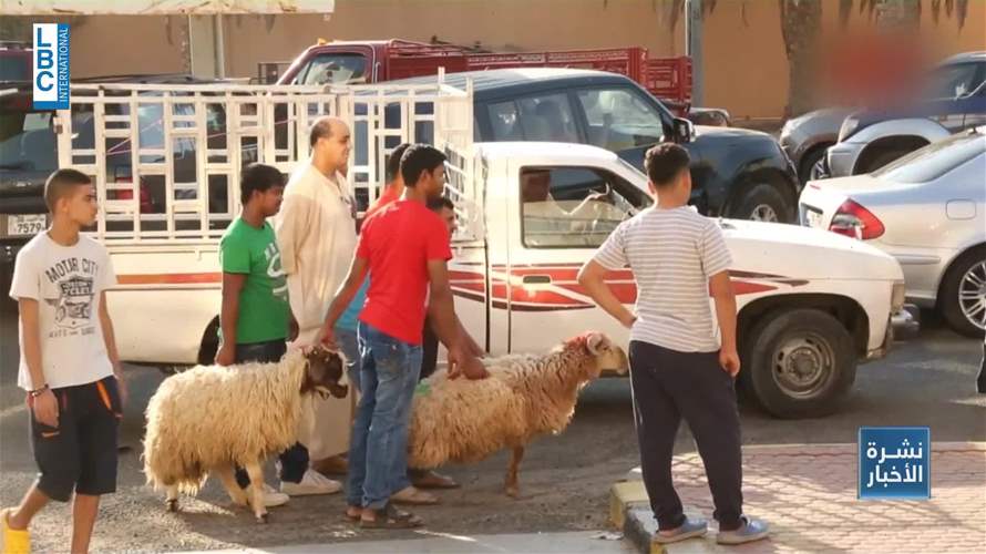 الأضاحي أونلاين... ذبائح العيد تدخل عصر البيع الرقمي!