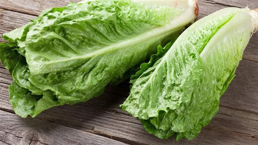 للحفاظ على الخس طازجاً لوقت أطول... اتبعوا هذه الحيلة البسيطة!