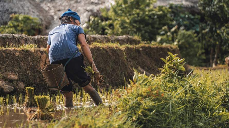 Despite progress, world still had 138 mn child laborers in 2024: UN