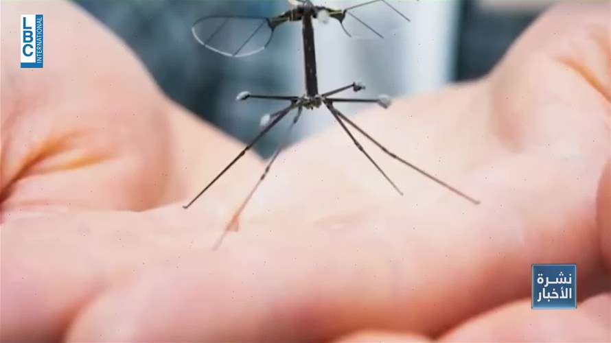  "برغشة" ذكية تمتص معلوماتك الشخصية