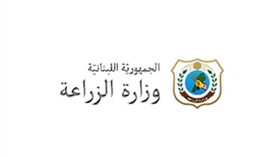 وزارة الزراعة تضبط مخالفات صيد بحري في طرابلس