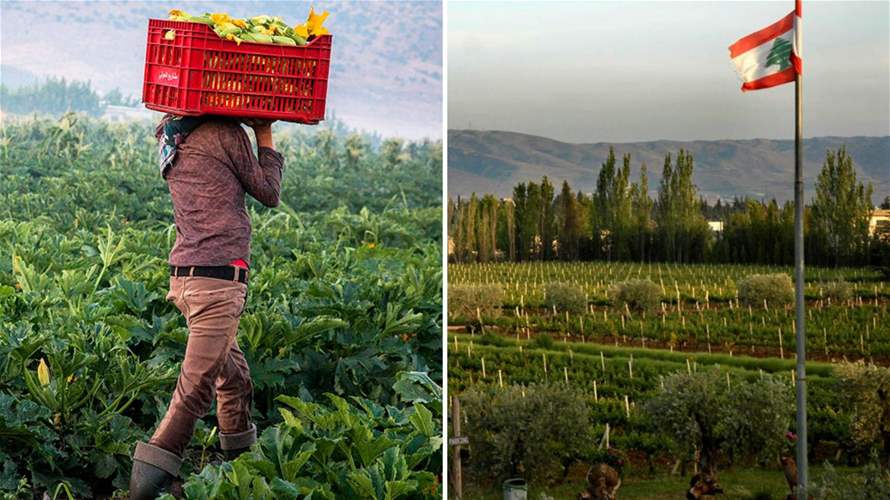 Lebanon's farmers struggle as export markets dry up — and hope is fading