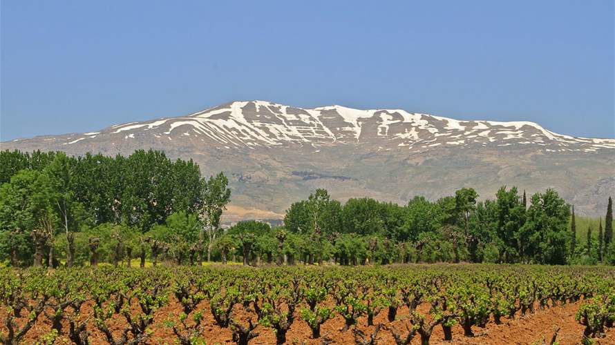 President Aoun hails Zahle’s global wine city designation as national win
