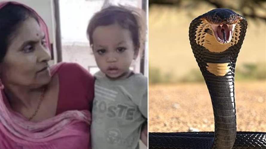 "عضّ أفعى كوبرا حتى الموت"... اليكم ما حصل مع ابن السنتين