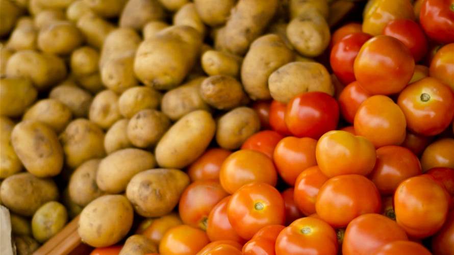 دراسة غريبة تكشف: هل البطاطا متحدرة من الطماطم؟