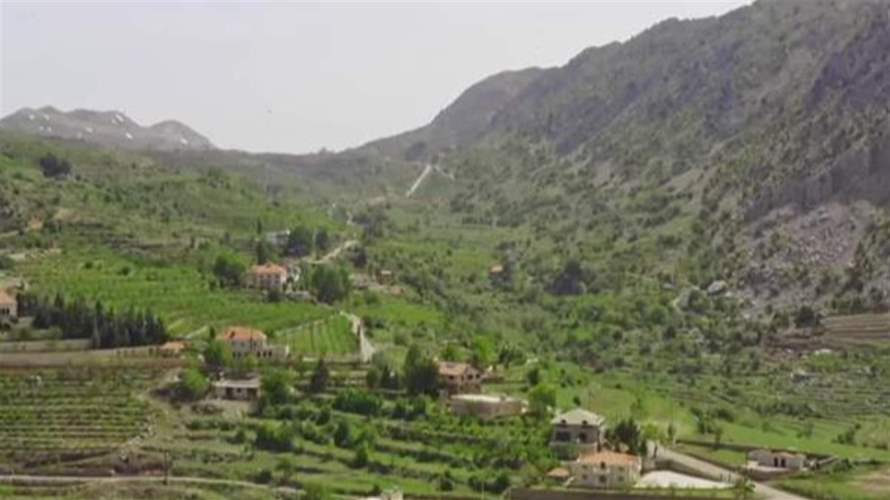 قرار جديد من وزارة الزراعة يهدف إلى حماية الغطاء الأخضر وتشجيع زراعات مستدامة