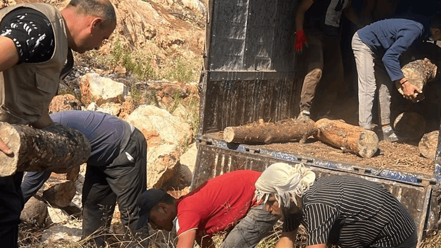  وزارة الزراعة: مصادرة حطب ومعدات من أحراج حرّار وتحرير محضر ضبط بحق المخالفين