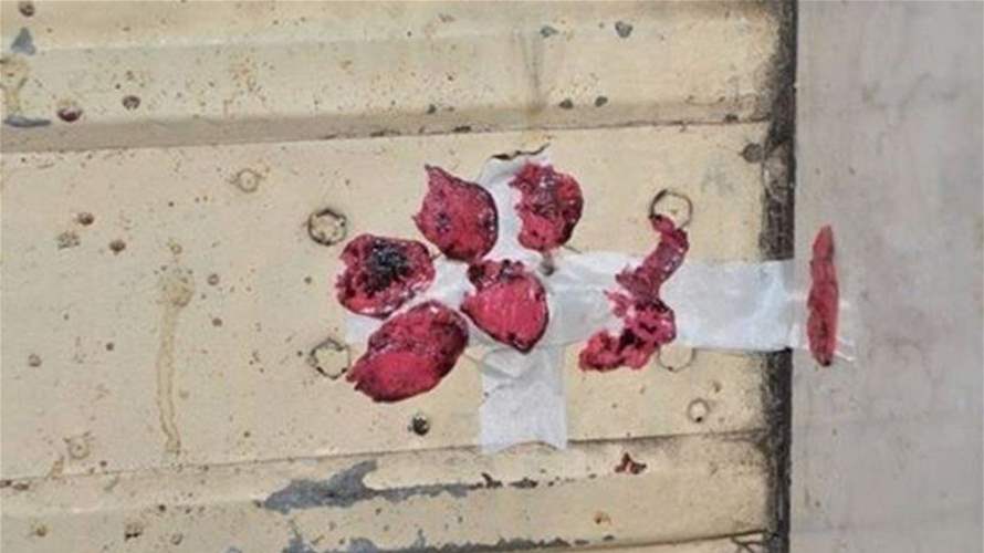 إقفال صيدليتين بيطريتين في البقاع الغربيّ بالشمع الأحمر لضبط القطاع