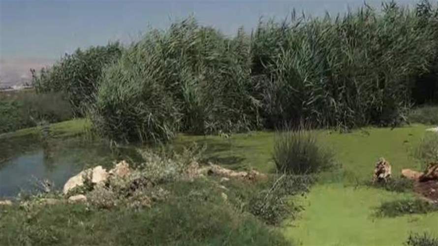 مناشدة للدولة: البقاع بخطر وكارثة بيئية تهدد نهر الغزيّل