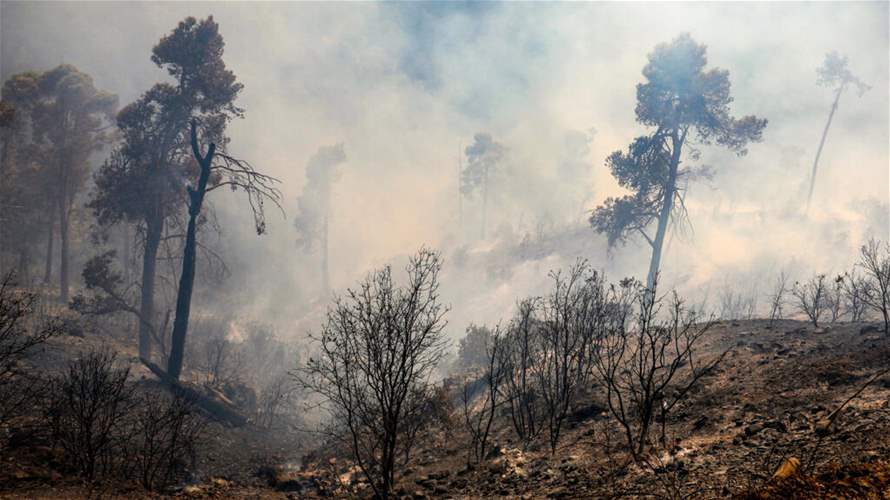 حريق غابة الشريعة بالجزائر تحت السيطرة وإجلاء 36 عائلة