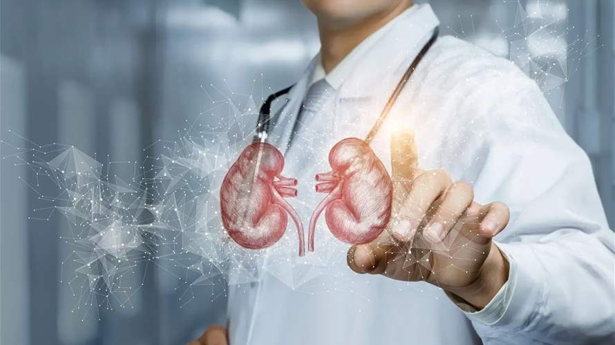 New hope for patients: Lebanon opens door to kidney transplants with full financial coverage