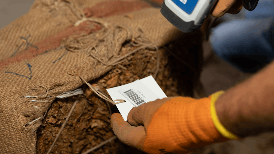 "الريجي" ستبدأ بتسلّم محاصيل التبغ الموضّبة لدى المزارعين في الجنوب