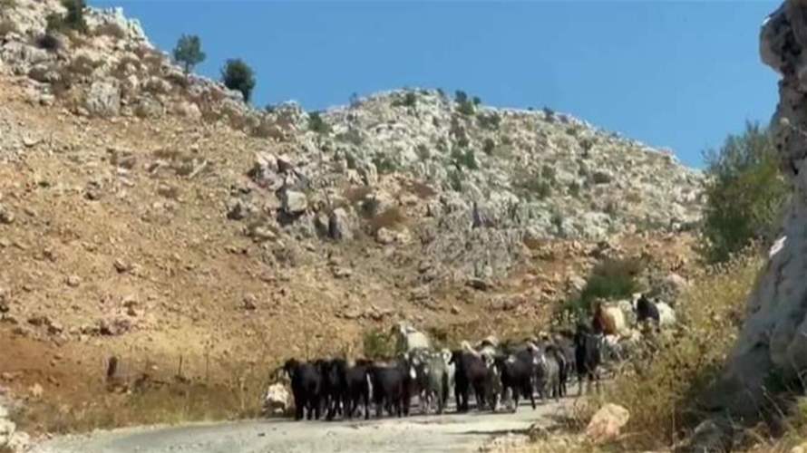  محمية ارز جاج بين الجمال والتعديات
