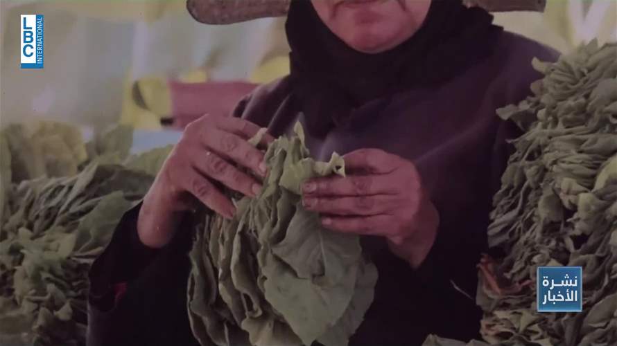  "وجوهن بتحكي" : هذا تاريخ لبنان مع زراعة التبغ!